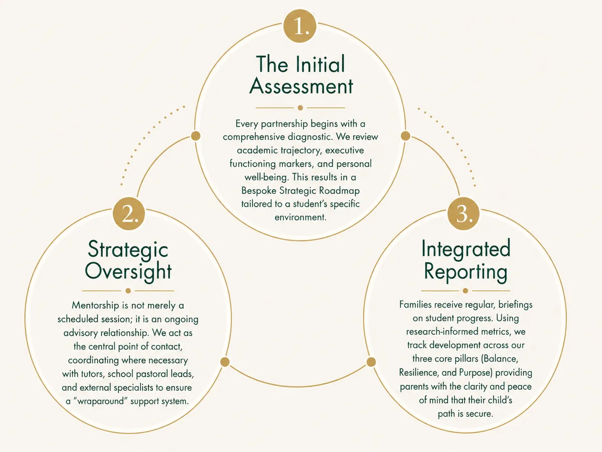 Diagram of the three stages: the initial assessment, strategic oversight, and integrated reporting.